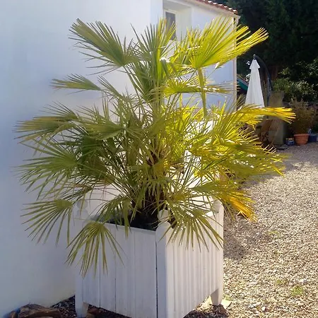 Une Maison Blanche * Olonne-sur-Mer